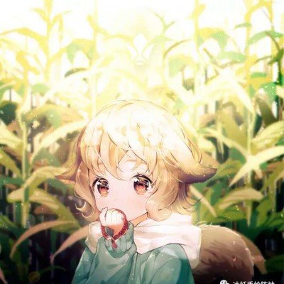 南方降雨北方大风